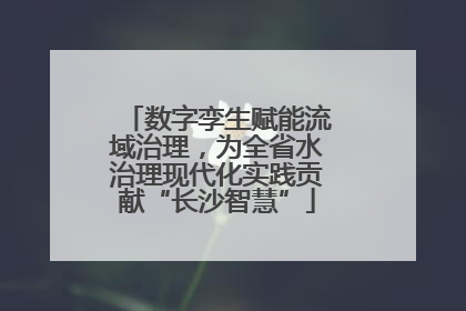 数字孪生赋能流域治理，为全省水治理现代化实践贡献“长沙智慧”